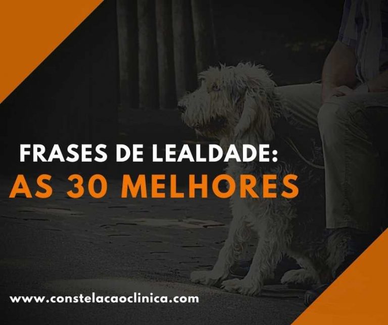 Frases De Lealdade As Melhores Constela O Cl Nica